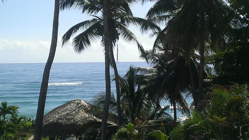 Hotel El Quemaito - Luxury Oceanfront Retreat Barahona Zewnętrze zdjęcie
