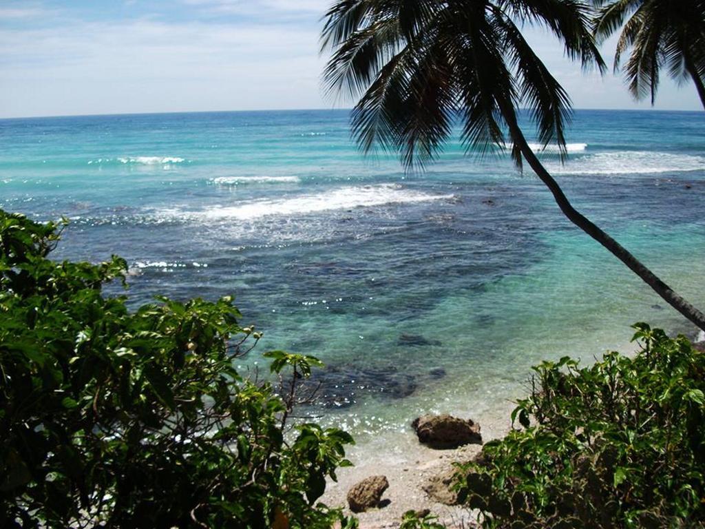 Hotel El Quemaito - Luxury Oceanfront Retreat Barahona Zewnętrze zdjęcie