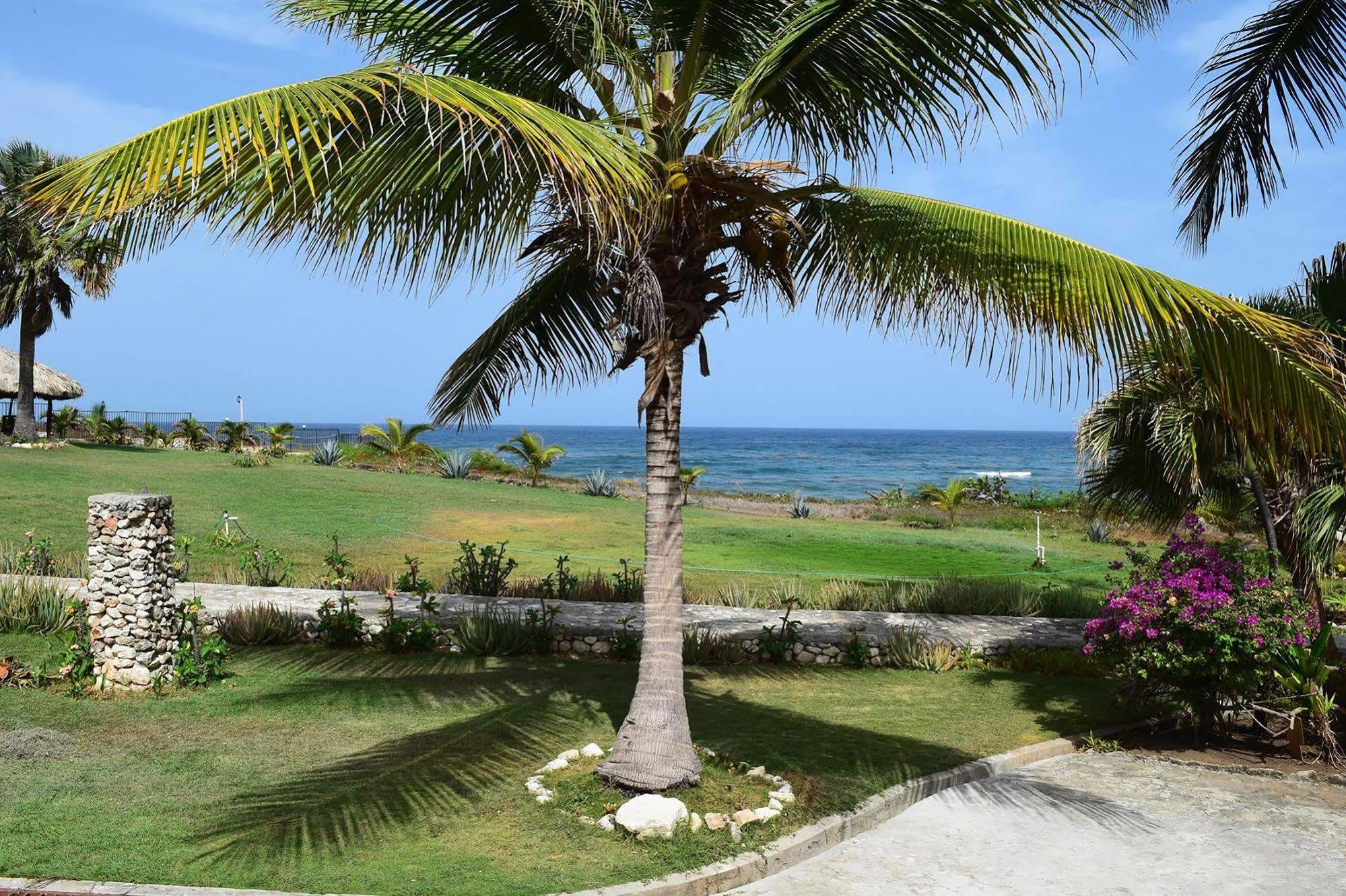 Hotel El Quemaito - Luxury Oceanfront Retreat Barahona Zewnętrze zdjęcie